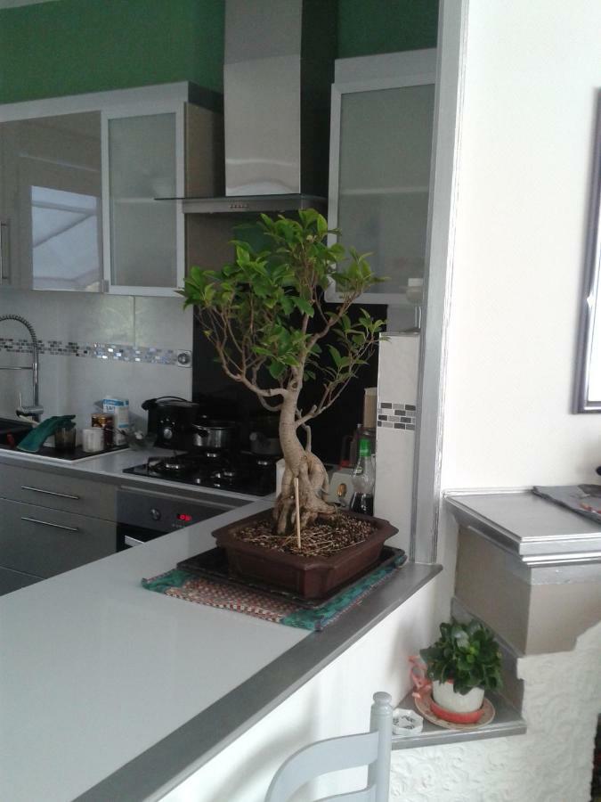Chambre Chez L'Habitant Orthez Zewnętrze zdjęcie
